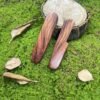 Handmade Blood Sandalwood Handle Scales For 91mm Victorinox SAK-NiceToolHome